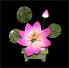 Лотос каменный розовый - 1 цветок
