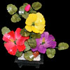 Пион разноцветный каменный - 3 цветка